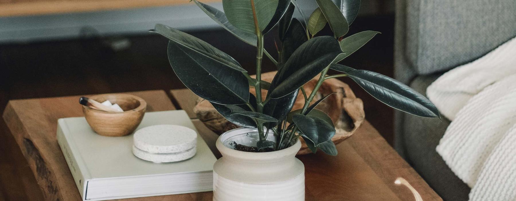 coffee table decorated with books, a potted plant, a candle and other knick-knacks